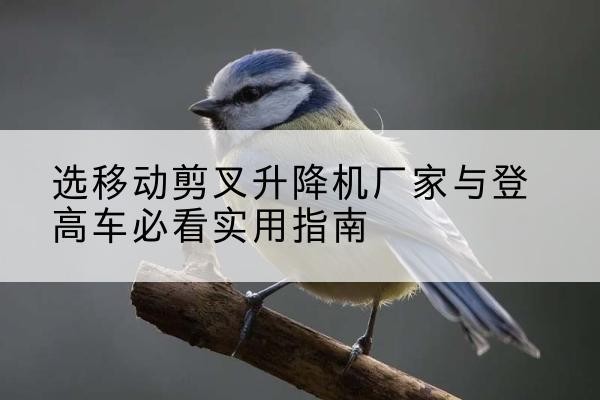 青羊电动升降机厂家-选移动剪叉升降机厂家与登高车必看实用指南