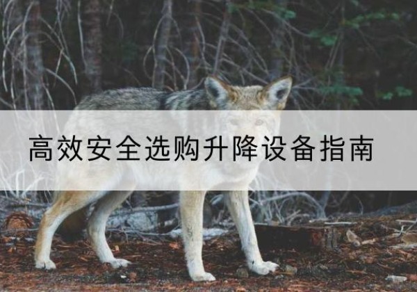 青羊升降货梯厂家推荐-*安全选购升降设备指南