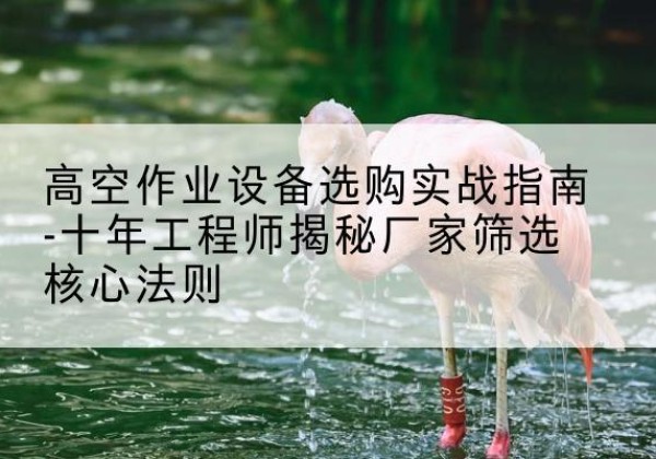 青羊剪叉式升降机厂家-高空作业设备选购实战指南-十年工程师揭秘厂家筛选核心法则